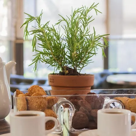 Hotel Nestorion Athènes